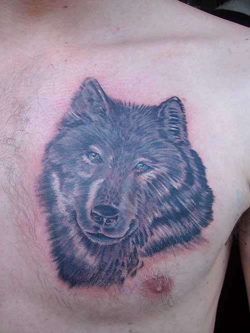 Wolf tatoeage